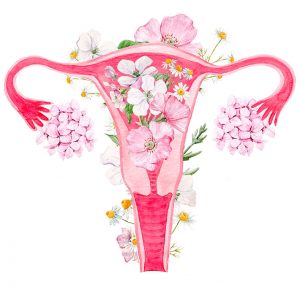 alimentacion fertilidad leire piriz